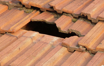 roof repair West Carr
