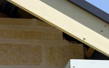 soffit repair West Carr